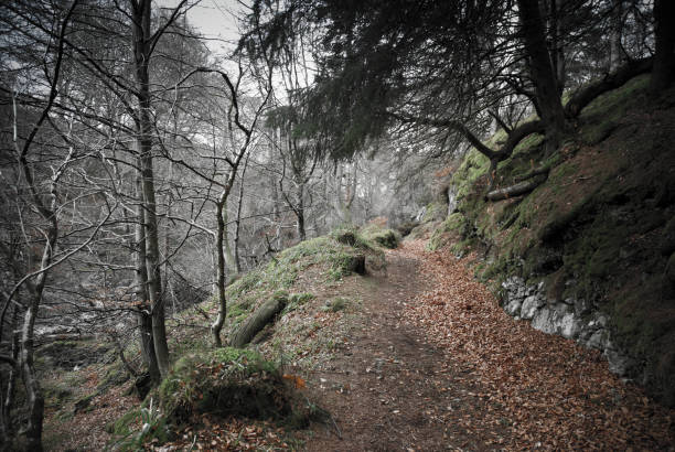 Autumn on the Blue Door Walk, Edzell, Angus Scotland