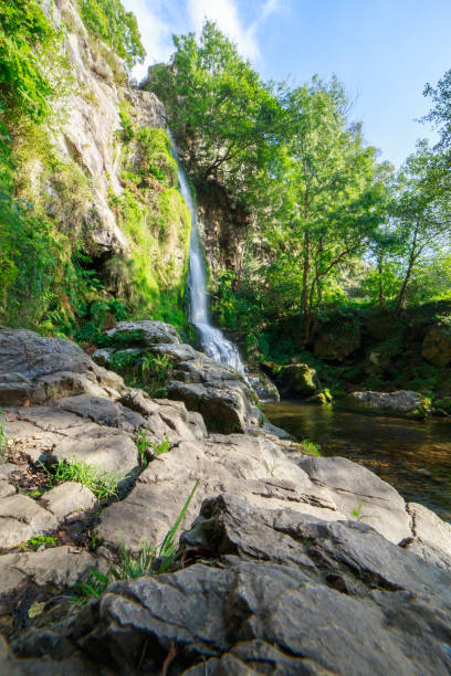 istock Picturesque view of waterfall in forest 871767580