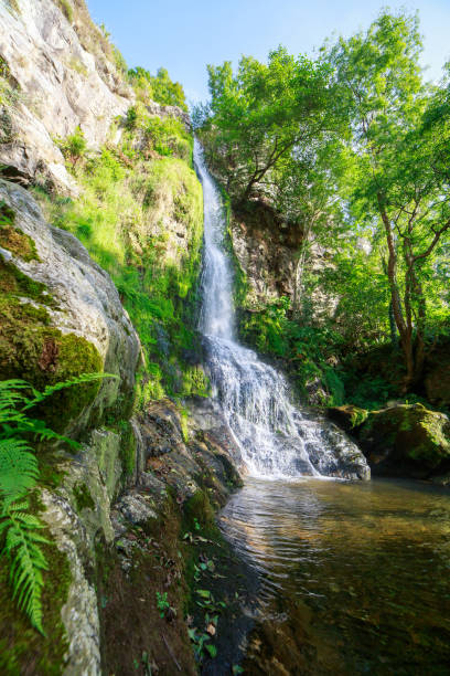 istock Picturesque view of waterfall in forest 871767648