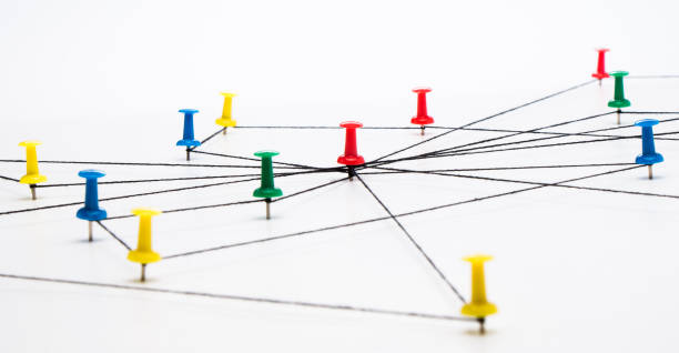 Tack Connection 1,700+ Tack String Stock Photos, Pictures & Royalty-Free Images - iStock