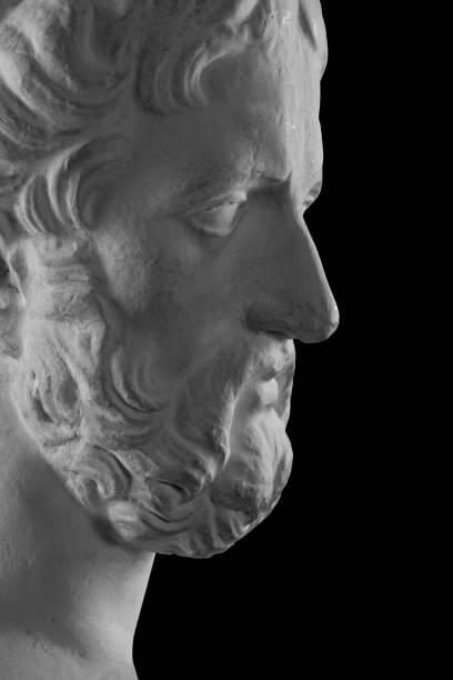 istock White plaster bust sculpture portrait of a man with a beard 871768026