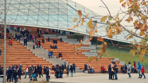 Formed oaks Quercus palustris or swamp Spanish oak on amphitheater terraces in public city park Krasnodar or 'Galitsky park'. Spring sunny day 2024. Nature concept for natural design.