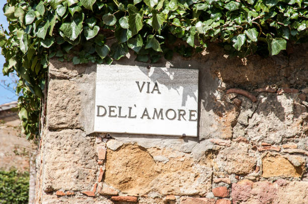 istock Pienza, Val d'Orcia - Siena, Italy 871771904