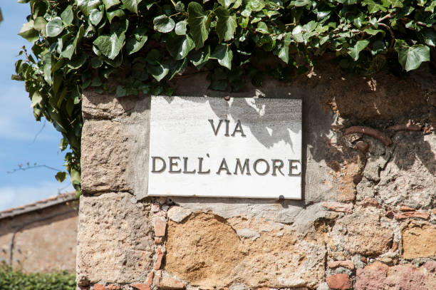 istock Pienza, Val d'Orcia - Siena, Italy 871771970