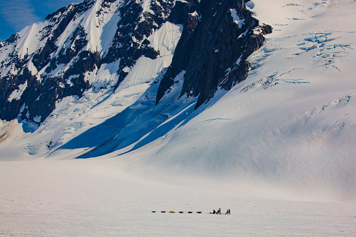 humans on a dogsled look like specks in a massive glacier valley in alaska.