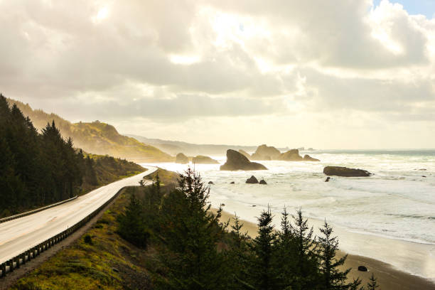 sol brilha em uma estrada costeira - pacific coast highway - fotografias e filmes do acervo