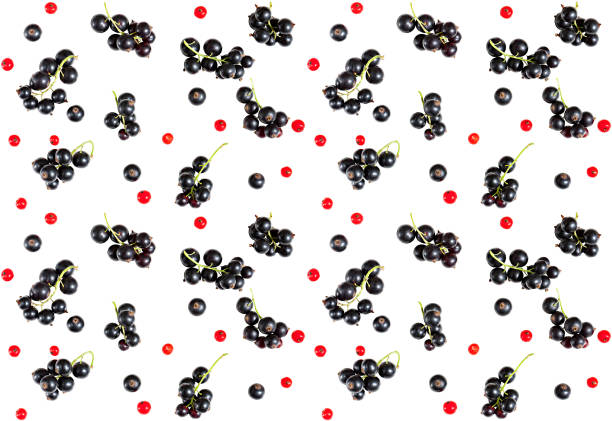 berries of black currant and red currant isolated on white background. flat lay, top view. seamless panorama