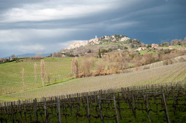 istock Montepulciano, Val d'Orcia - Siena, Italy 871782290
