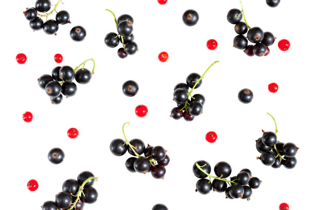 istock berries of black currant and red currant  isolated on white background 871782378