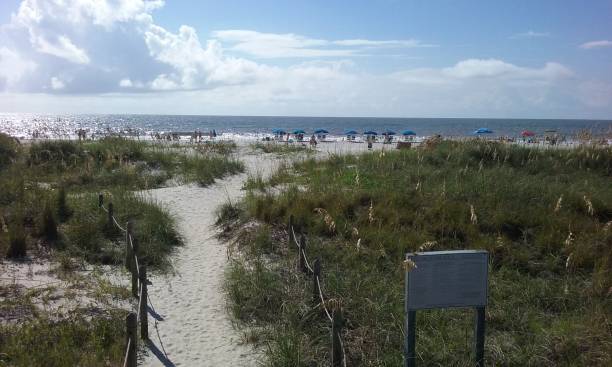 istock Sand beach and dunes by the Atlantic Ocean 871783144