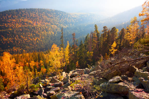 morning shooting of the rocky slope of Mount Syvula Gambler with autumn birches and coniferous forest on the background. Placer stones on a steep rocky slope survive birch water