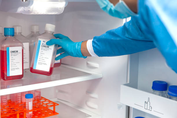 istock Male scientist and laboratory refrigerator 871790176