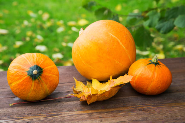 istock still life with small pumpkins and yellow leaves on the table 871808050