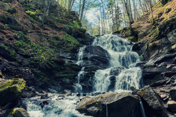 istock Forest landscape with a beautiful waterfall. Carpathians, Ukraine 871809428