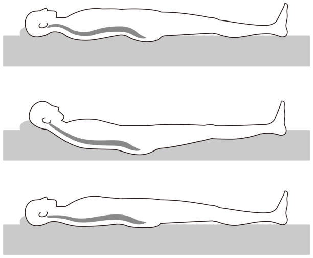 하드 침대, 연약한 침대 및 본문 - lying down illustrations stock illustrations