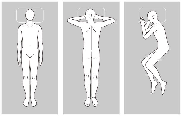 Hard bed, soft bed and body Hard bed, soft bed and body lying on side stock illustrations