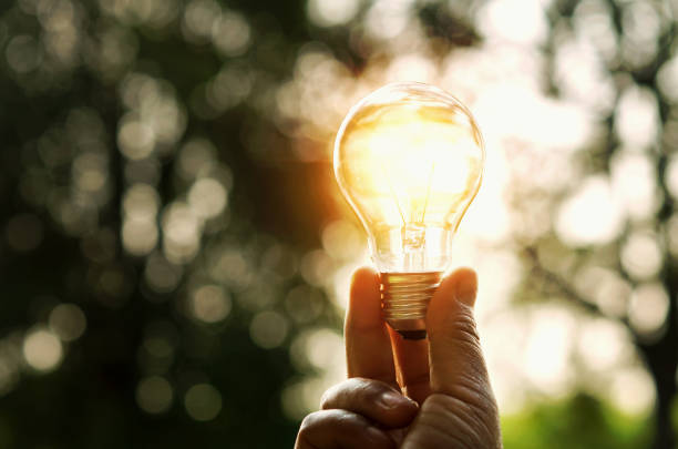 istock hand holding light bulb and sunset in nature, power energy concept 871812962