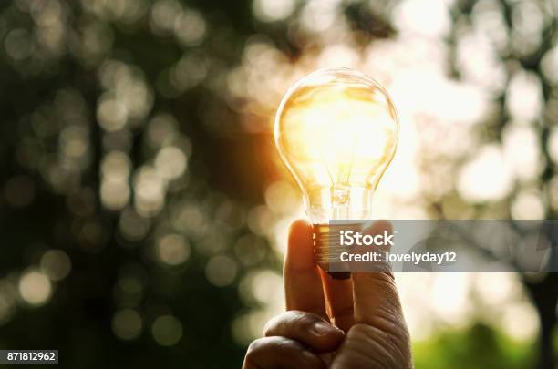 Hand Holding Light Bulb And Sunset In Nature Power Energy Concept Stock Photo - Download Image Now