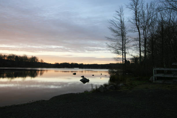 istock Beautiful forest lake on morning in November 871815608