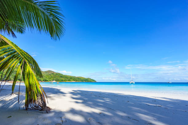 istock stunning paradise beach at anse lazio, praslin, seychelles 15 871816942