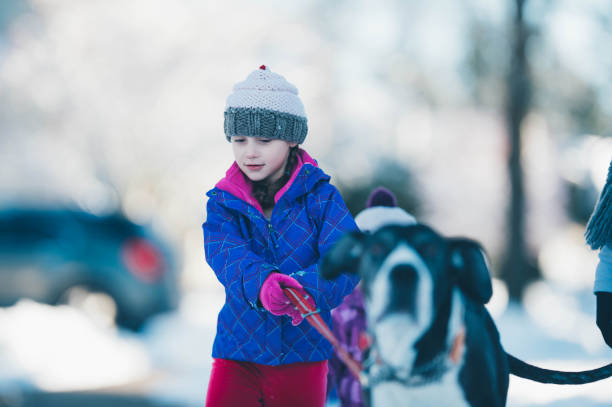 Woman pets a dog while sitting on wooden sled on mountainside, while her husband stands nearby in warm winter clothes.
