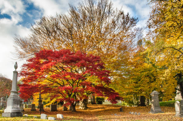 istock Autumn in Green-Wood Cemetery 871823074