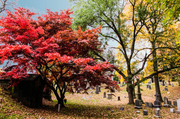 istock Autumn in Green-Wood Cemetery 871823076