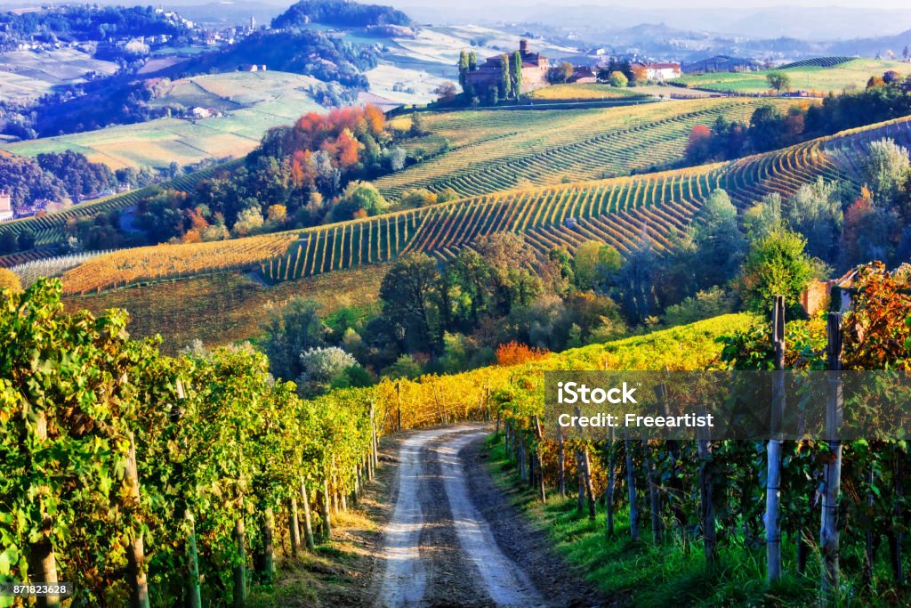 Vignobles et du Piémont en couleurs d’automne. Nord de l’Italie - Photo de Piémont libre de droits