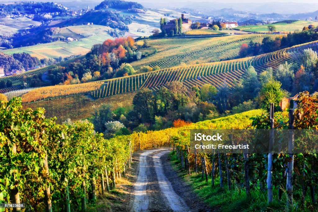 Vineyards and of Piemonte in autumn colors. North of Italy Vineyards of Italian countryside in autumn Italy Stock Photo
