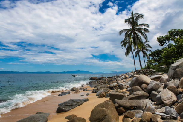 istock Las Animas Beach in Mexico 871823762