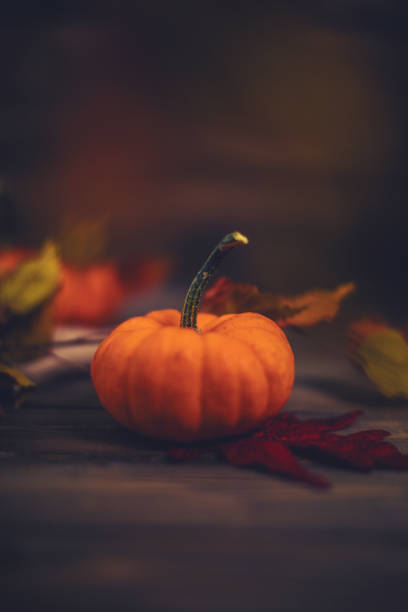 istock Simple still life for Thanksgiving 871824576