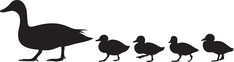 Vector silhouette of a group of ducks and ducklings walking.
