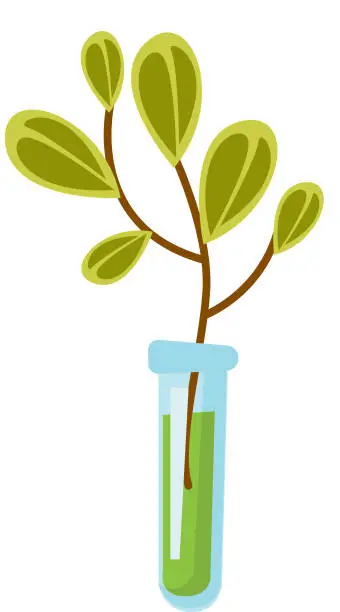 Vector illustration of Test tube with sprout vector cartoon illustration