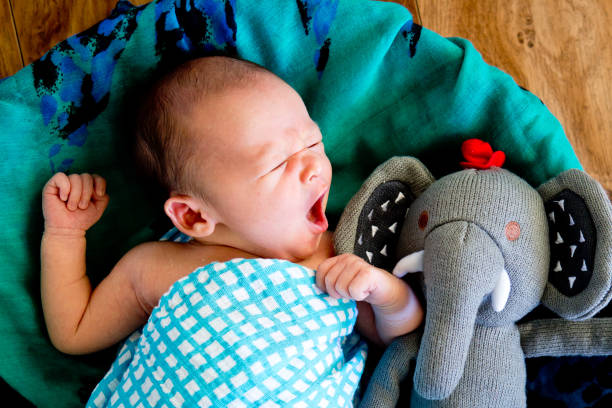 Luxury Baby Cot Packages in Australia Luxury Baby Cot Packages in Australia