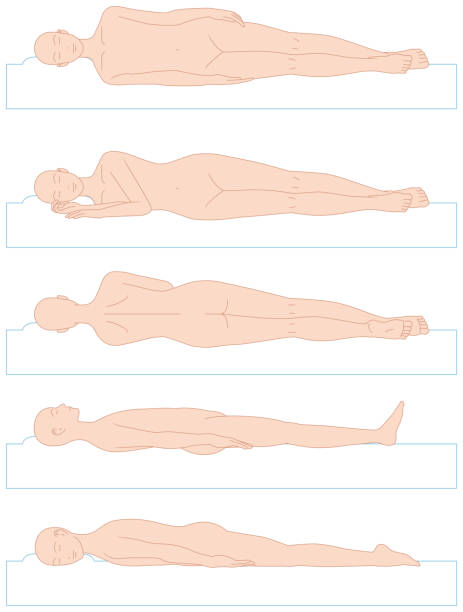 leeping 자세입니다. 상향. 찔 러 - lying down illustrations stock illustrations