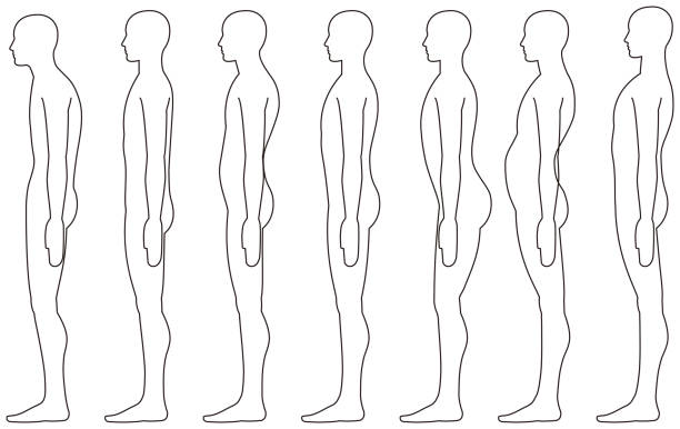 standing human, Side posture. standing human, Side posture. good posture stock illustrations