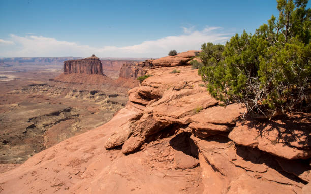 istock Canyonlands National Park 871853834