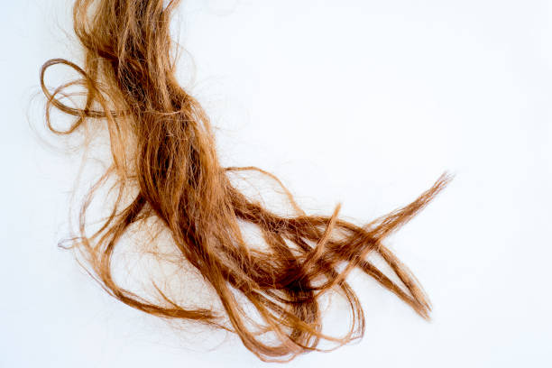 istock Image of damaged hair 871860782