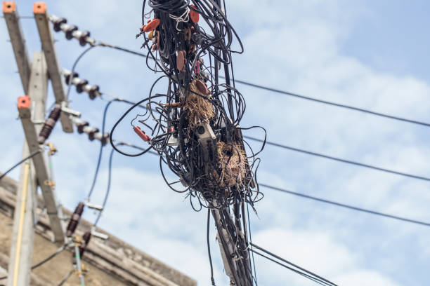 istock bird nest in electric telephone cable 871863932
