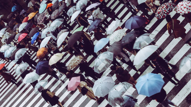personnes à travers le passage pour piétons sur un jour de pluie - rainy season photos et images de collection