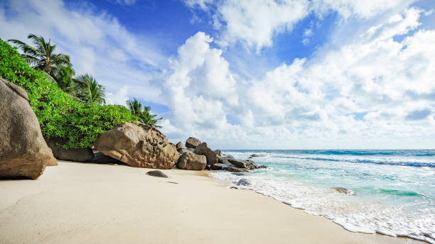 istock paradise beach on the seychelles 12 871867478