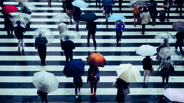 istock People across the crosswalk on a rainy day 871867644