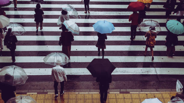 istock People across the crosswalk on a rainy day 871867798