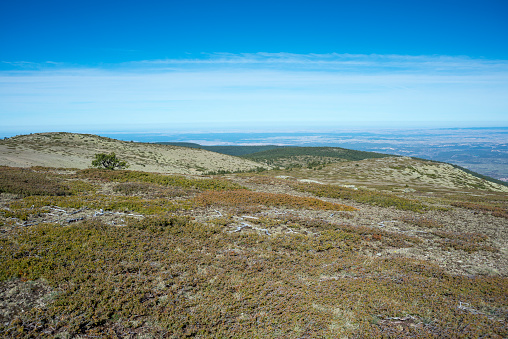 Alpine grasslands of Fescue (Festuca indigesta) and Padded brushwood (Juniperus communis) located between the Pico del Nevero (Snowfield Peak; 2.209 metres) and Navafria Mountain Pass (1.774 m), in Guadarrama Mountains National Park, Spain