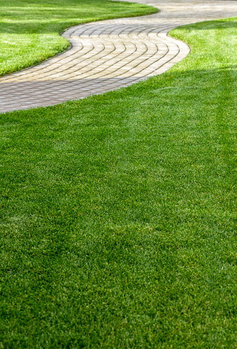 Evenly trimmed lawn grass in the backyard.