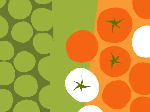 Vector illustration of Abstract fruit and vegetable design in flat cut out style. Rows of tomatoes. Vector illustration.