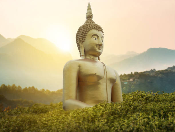 wielki wielki potężny posąg buddy w kolorze złotym w środku zielonego parku na górze z pięknym zachodem słońca lub wschodem słońca i wspaniałą sceną przyrodnicza na tle. obraz buddy dla buddystów - beleive zdjęcia i obrazy z banku zdjęć