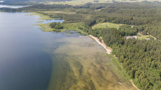 istock Plateliai lake Lithuania Aerial drone top view 871889784