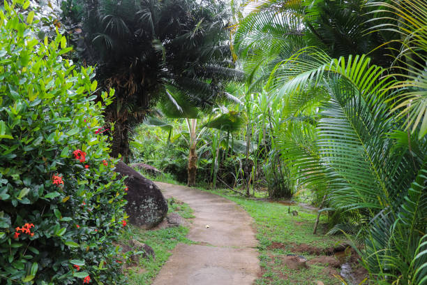 istock village. Port Launay. Mahe, Seychelles 871892728