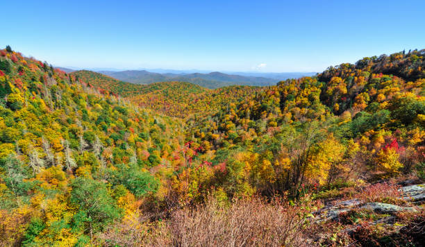 istock Autumn panorama at East Fork Overlook on the Blue Ridge Parkway during fall in the Appalachian Mountains 871893152